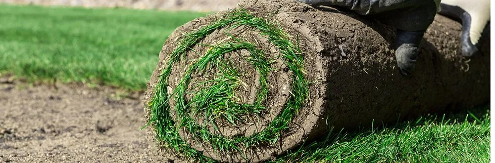 Top-rated yard maintenance with custom design across Knoxville, TN - Joseph Landscaping and Irrigation