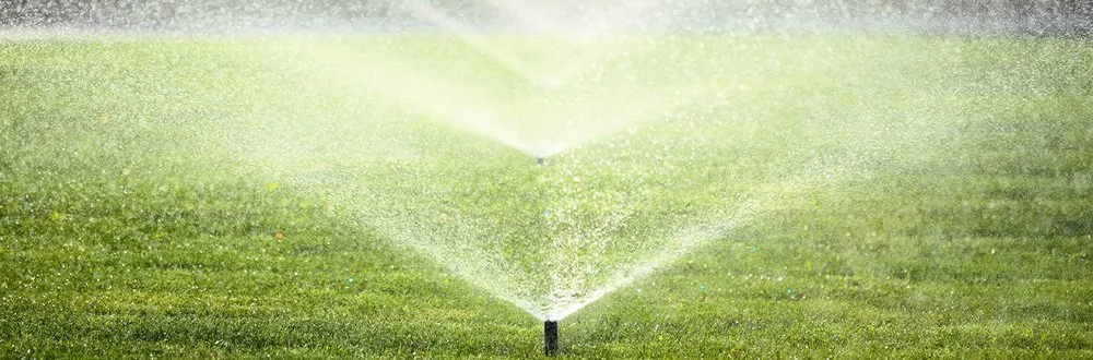 Top-rated lawn care service experts serving Knoxville, TN - Joseph Landscaping and Irrigation