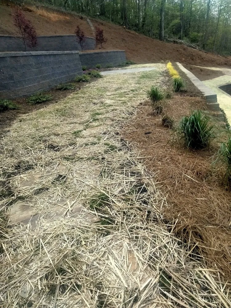 Top-rated landscaping services in Knoxville, TN by Joseph Landscaping and Irrigation