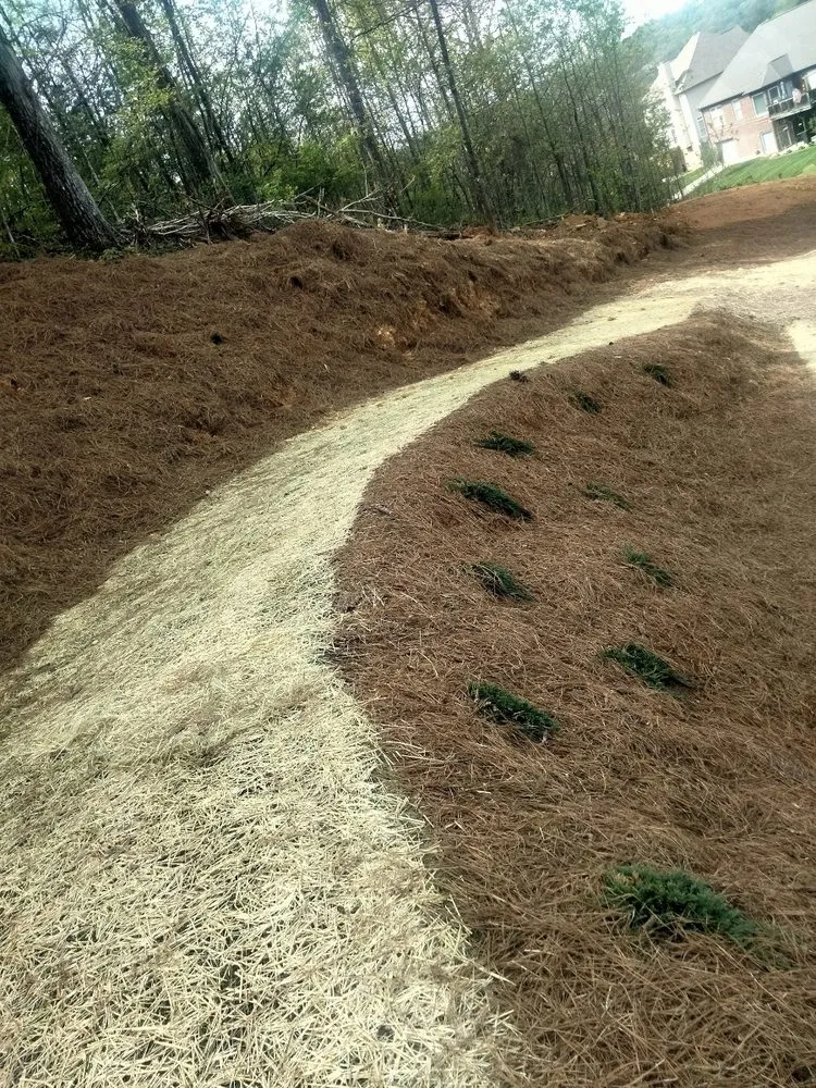 Affordable lawn care service in Knoxville, TN by Joseph Landscaping and Irrigation