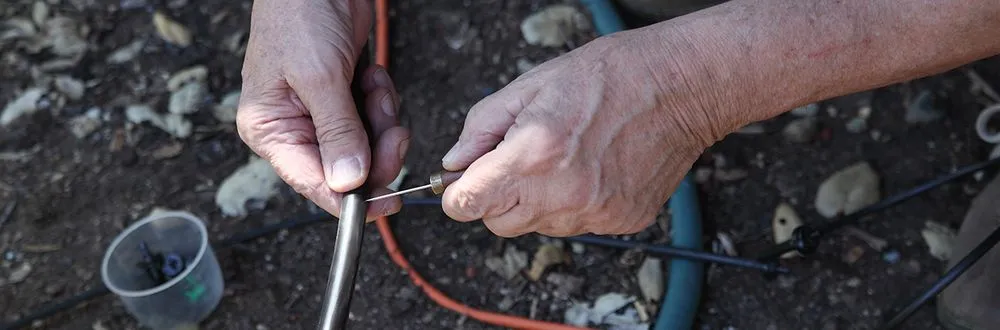 Expert garden landscaping for year-round maintenance in Knoxville, TN by Joseph Landscaping and Irrigation