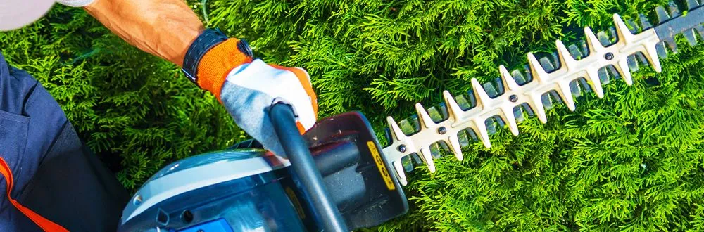Reliable lawn mowing service in Knoxville, TN by Joseph Landscaping and Irrigation