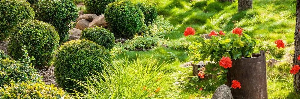 Affordable yard maintenance experts serving Knoxville, TN - Joseph Landscaping and Irrigation