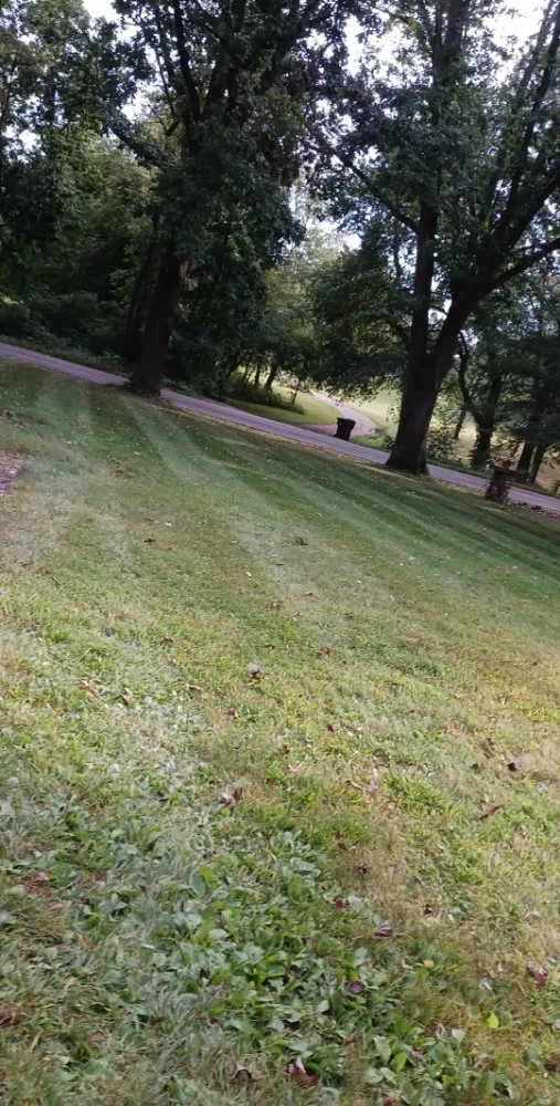 Expert landscaping services in Jackson, MI - Joseph Lawn Care