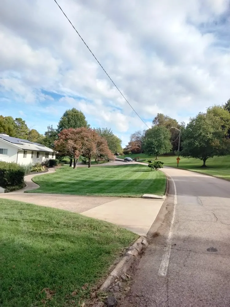 Expert yard maintenance for year-round maintenance across Louisville, TN - Joseph lawn care