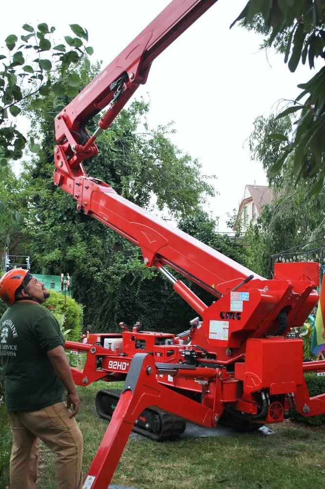 Affordable outdoor landscaping experts serving Feasterville, PA - Joseph McIlvaine Tree & Lawn