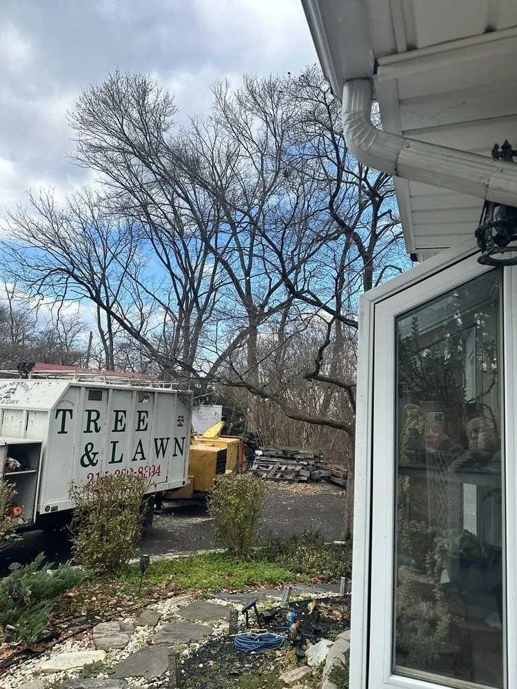 Local yard cleanup service in Feasterville, PA - Joseph McIlvaine Tree & Lawn