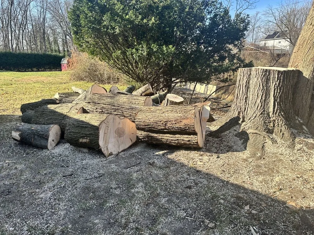 Professional yard maintenance in Feasterville, PA - Joseph McIlvaine Tree & Lawn