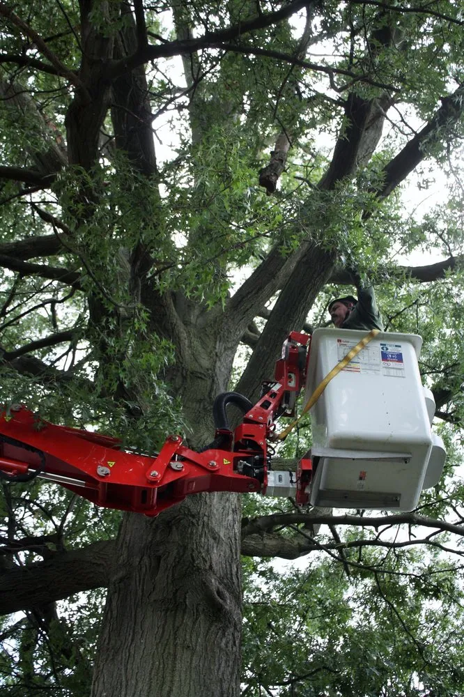 Custom landscape design in Feasterville, PA by Joseph McIlvaine Tree & Lawn