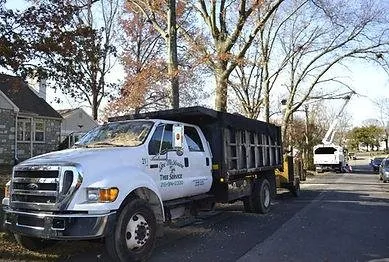 Affordable landscape design for outdoor upgrades in Feasterville, PA by Joseph McIlvaine Tree & Lawn