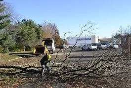 Expert residential landscaping experts serving Feasterville, PA - Joseph McIlvaine Tree & Lawn