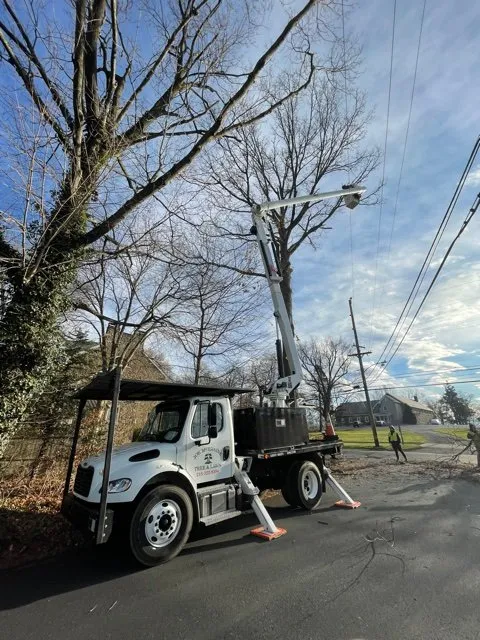 Top-rated garden landscaping experts serving Feasterville, PA - Joseph McIlvaine Tree & Lawn