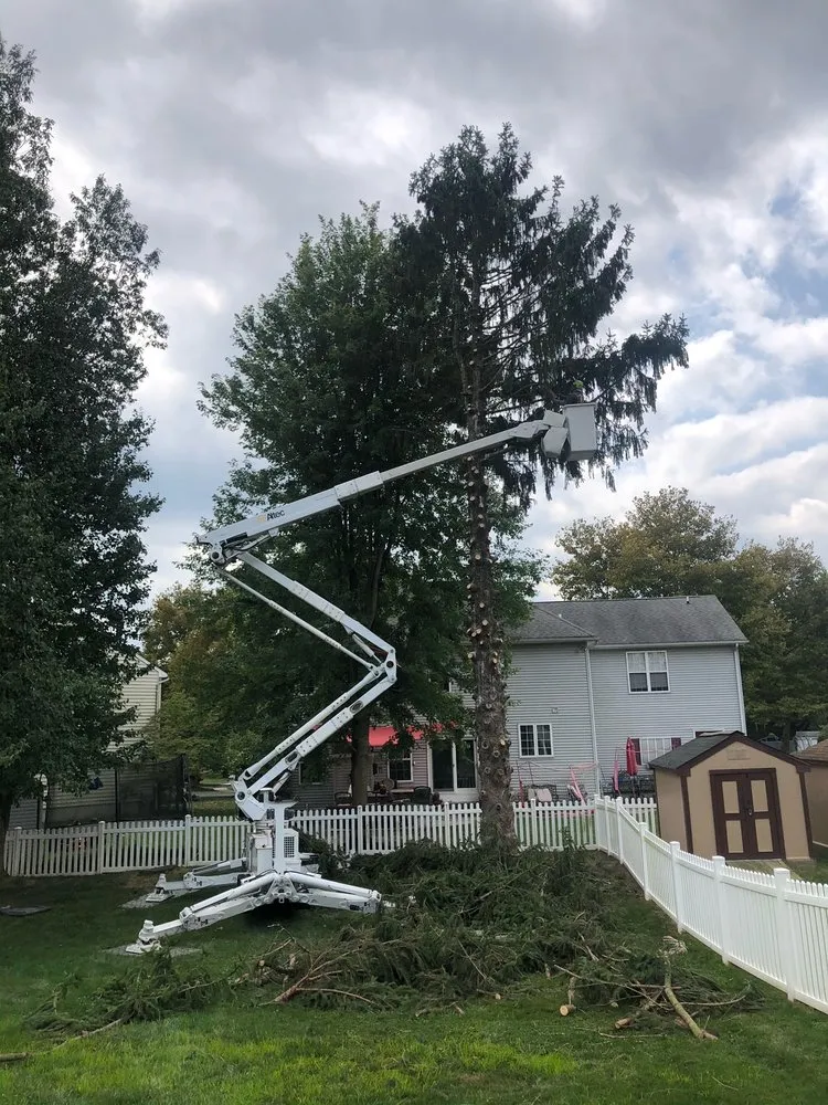 Professional landscape installation in Feasterville, PA - Joseph McIlvaine Tree & Lawn