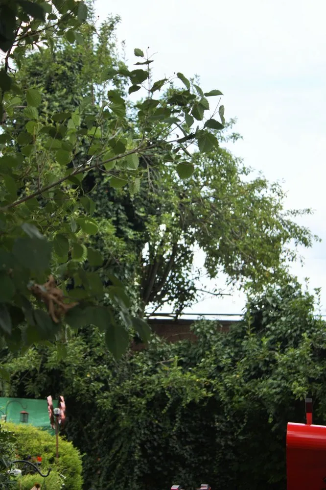 Custom outdoor landscaping near you across Feasterville, PA - Joseph McIlvaine Tree & Lawn