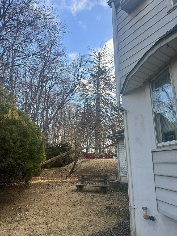 Custom lawn care service in Feasterville, PA - Joseph McIlvaine Tree & Lawn