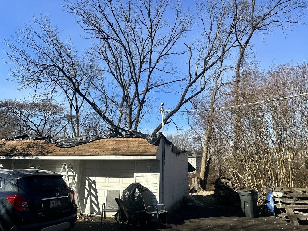 Professional yard maintenance experts serving Feasterville, PA - Joseph McIlvaine Tree & Lawn