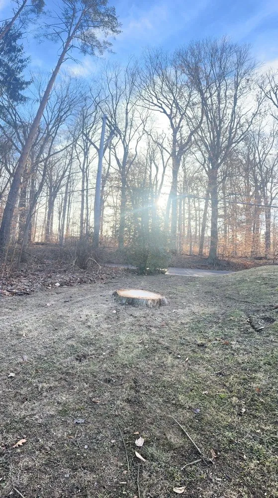 Affordable lawn mowing service in Feasterville, PA - Joseph McIlvaine Tree & Lawn