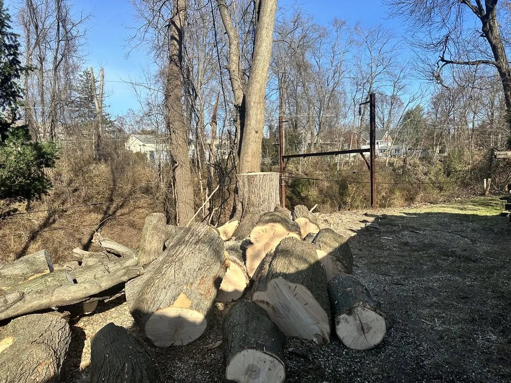 Local outdoor landscaping for residential properties in Feasterville, PA by Joseph McIlvaine Tree & Lawn