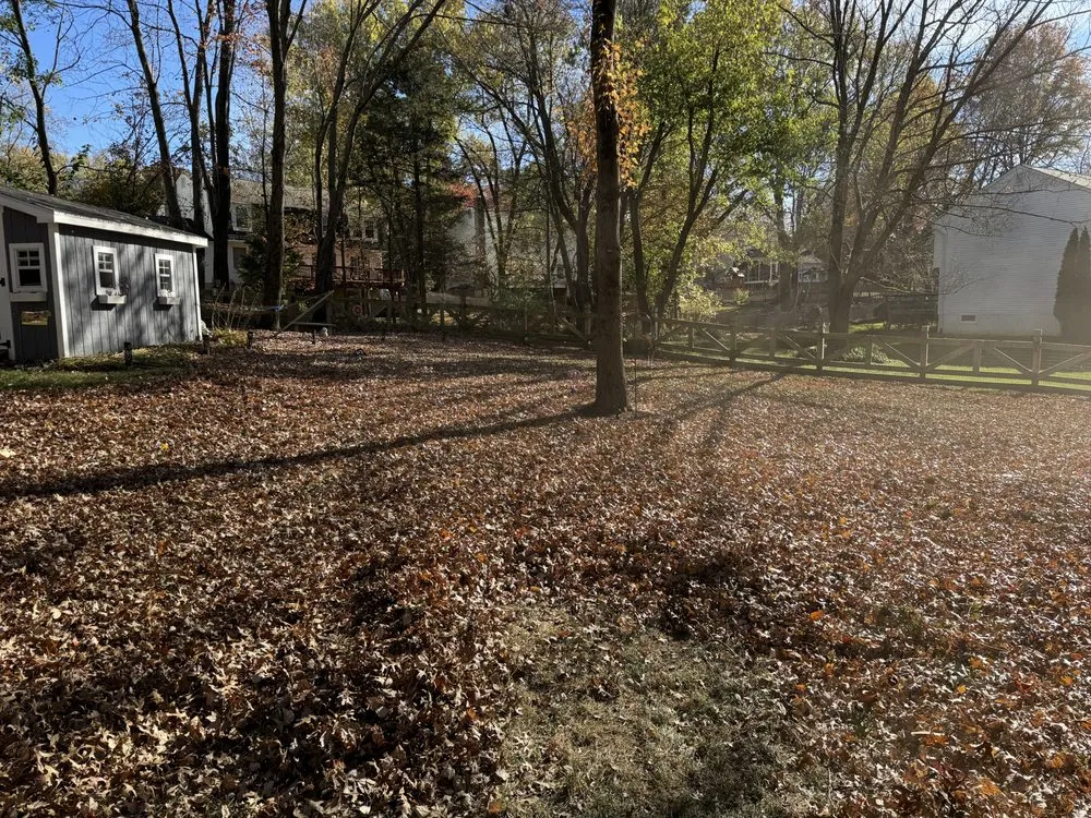 Top-rated landscape installation in Herndon, VA - Josephs Helping Hands