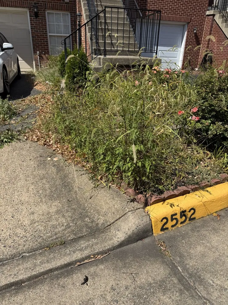 Expert outdoor landscaping experts serving Herndon, VA - Josephs Helping Hands