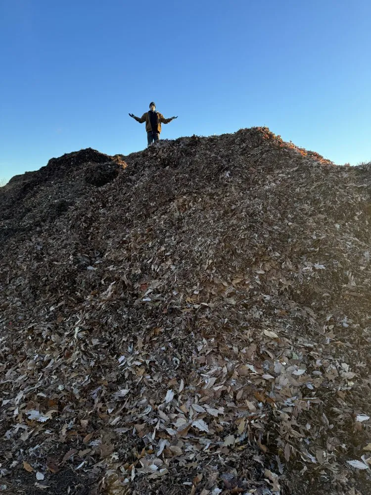 Professional garden landscaping in Herndon, VA - Josephs Helping Hands