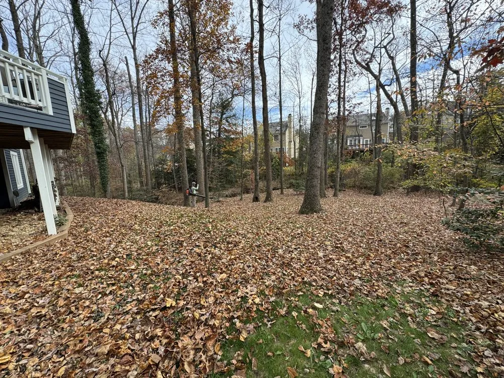 Affordable landscaping services in Herndon, VA - Josephs Helping Hands