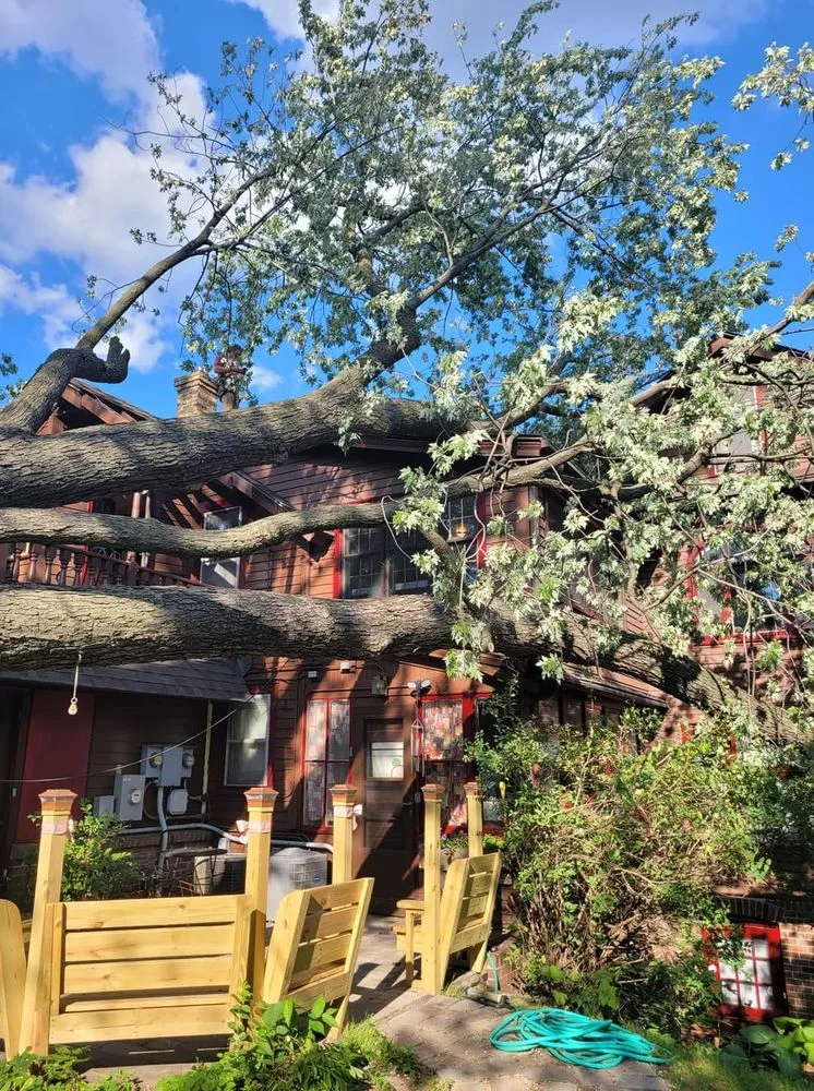 Top-rated yard maintenance experts serving Gruver, TX - Joseph's Landscape Tree Service