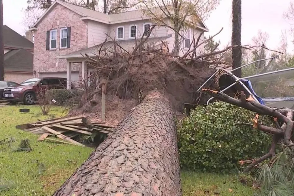 Reliable outdoor landscaping with custom design across Gruver, TX - Joseph's Landscape Tree Service