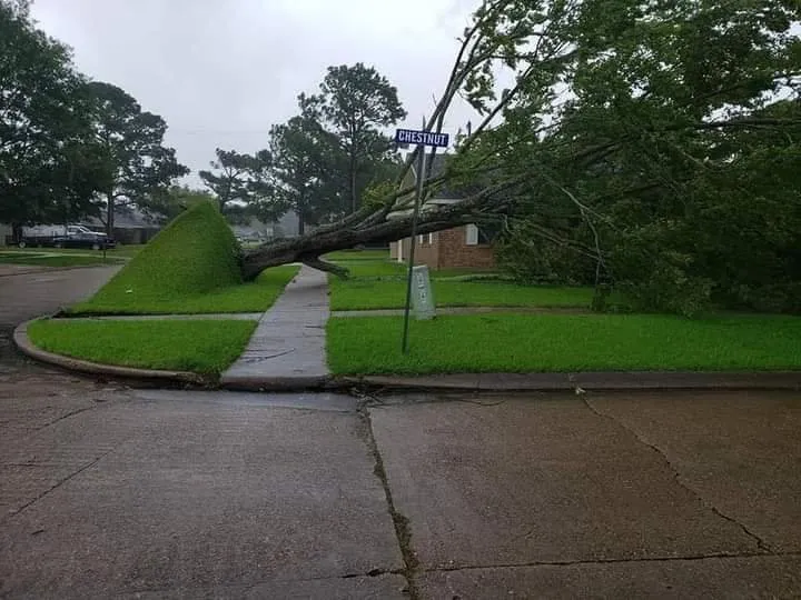 Professional landscape installation for homes across Gruver, TX - Joseph's Landscape Tree Service