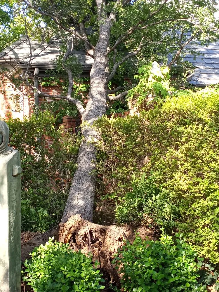 Trusted landscape installation for outdoor upgrades across Gruver, TX - Joseph's Landscape Tree Service