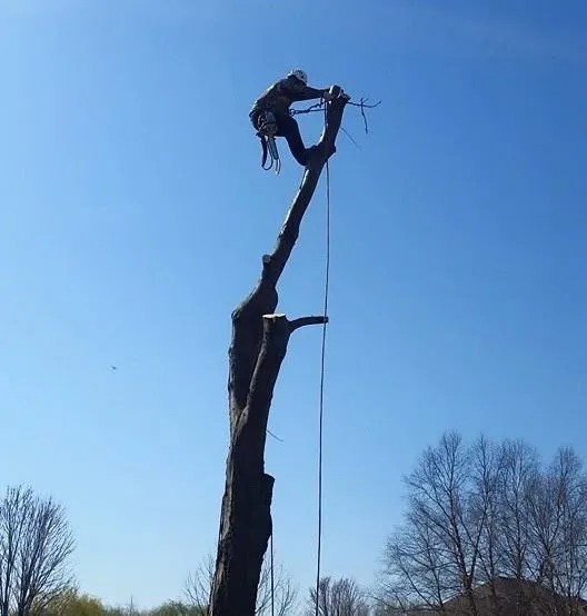 Local outdoor landscaping with custom design in Gruver, TX by Joseph's Landscape Tree Service