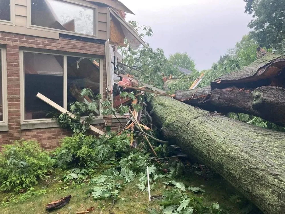 Reliable yard maintenance for homes in Gruver, TX by Joseph's Landscape Tree Service