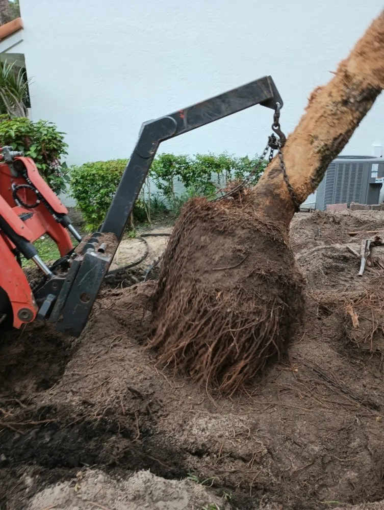 Trusted landscaping services in West Palm Beach, FL - Joseph's Landscaping & Gardening