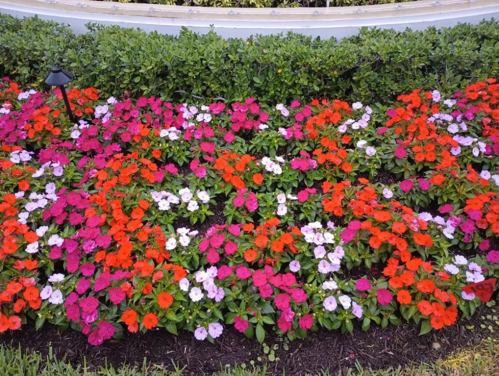 Trusted lawn care service in West Palm Beach, FL by Joseph's Landscaping & Gardening