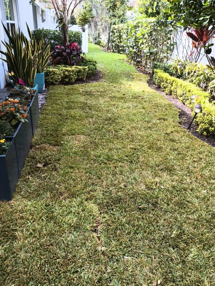 Reliable lawn care service for residential properties in West Palm Beach, FL by Joseph's Landscaping & Gardening