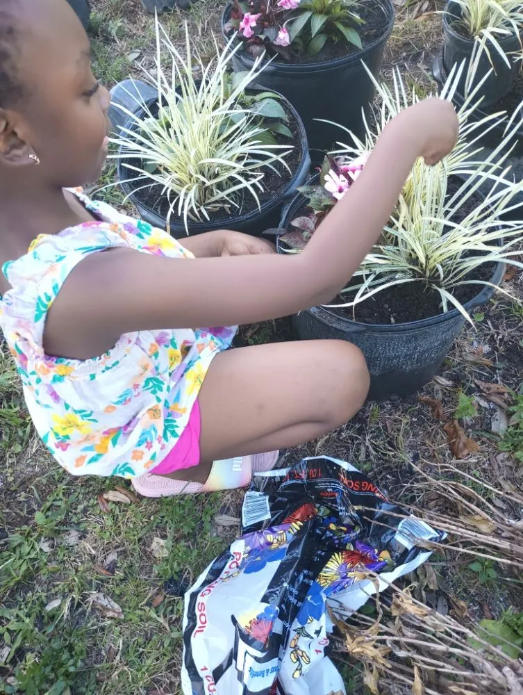 Professional landscape installation in West Palm Beach, FL by Joseph's Landscaping & Gardening