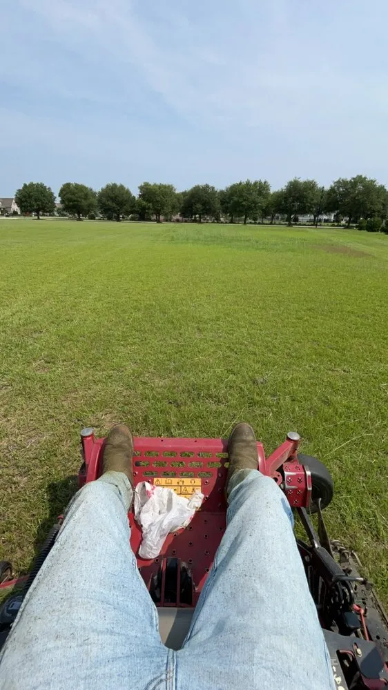 Expert yard cleanup service in Elm City, NC by Joseph's Lawn Care and Landscape