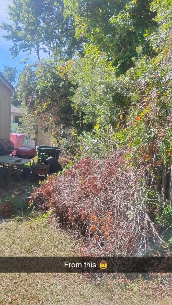 Top-rated landscape design for beautiful yards across Elm City, NC - Joseph's Lawn Care and Landscape