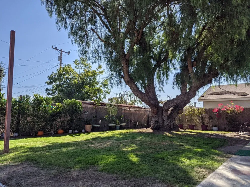 Trusted lawn care service experts serving Torrance, CA - Josephs Lawn Service