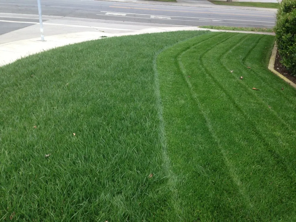 Expert residential landscaping for outdoor upgrades in Torrance, CA by Josephs Lawn Service