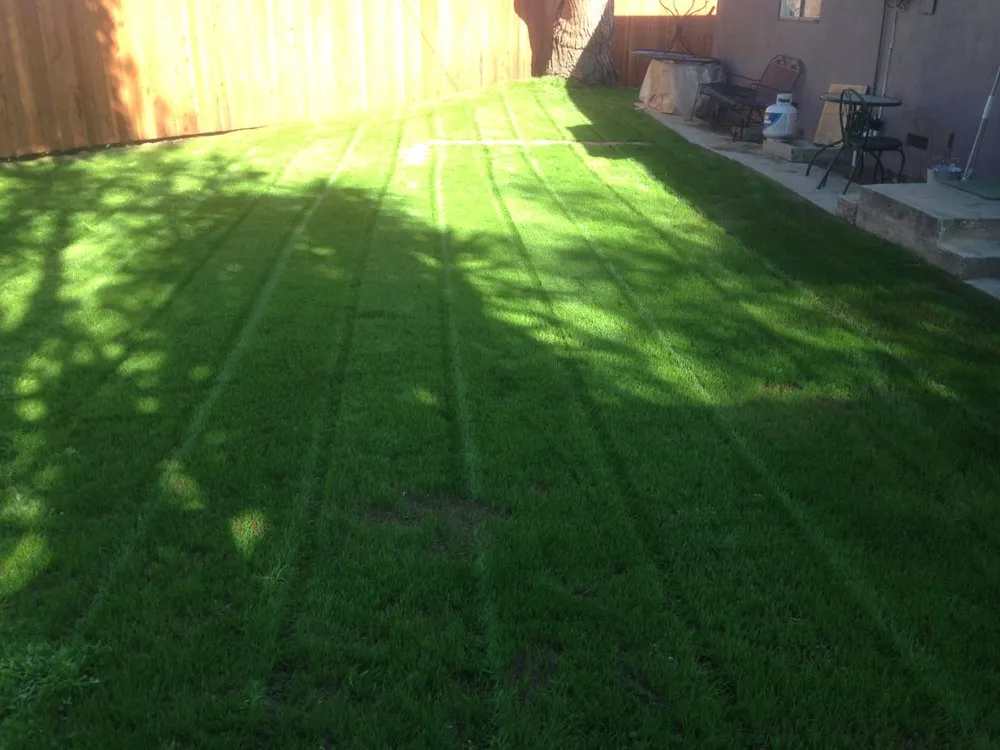 Trusted landscaping services experts serving Torrance, CA - Josephs Lawn Service