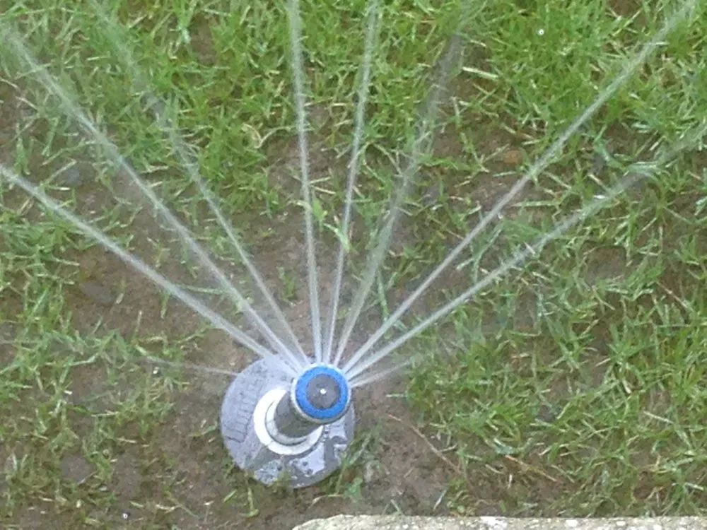 Top-rated landscaping services in Torrance, CA - Josephs Lawn Service