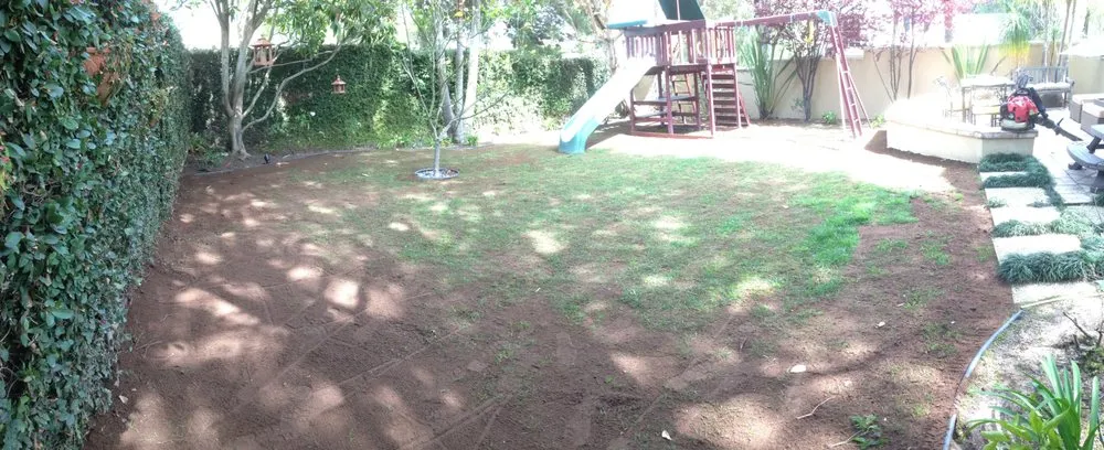 Top-rated yard maintenance in Torrance, CA - Josephs Lawn Service