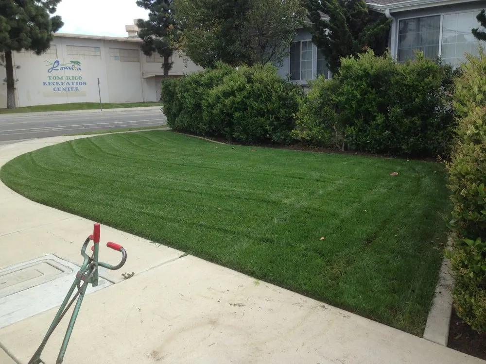 Affordable landscape design near you in Torrance, CA by Josephs Lawn Service