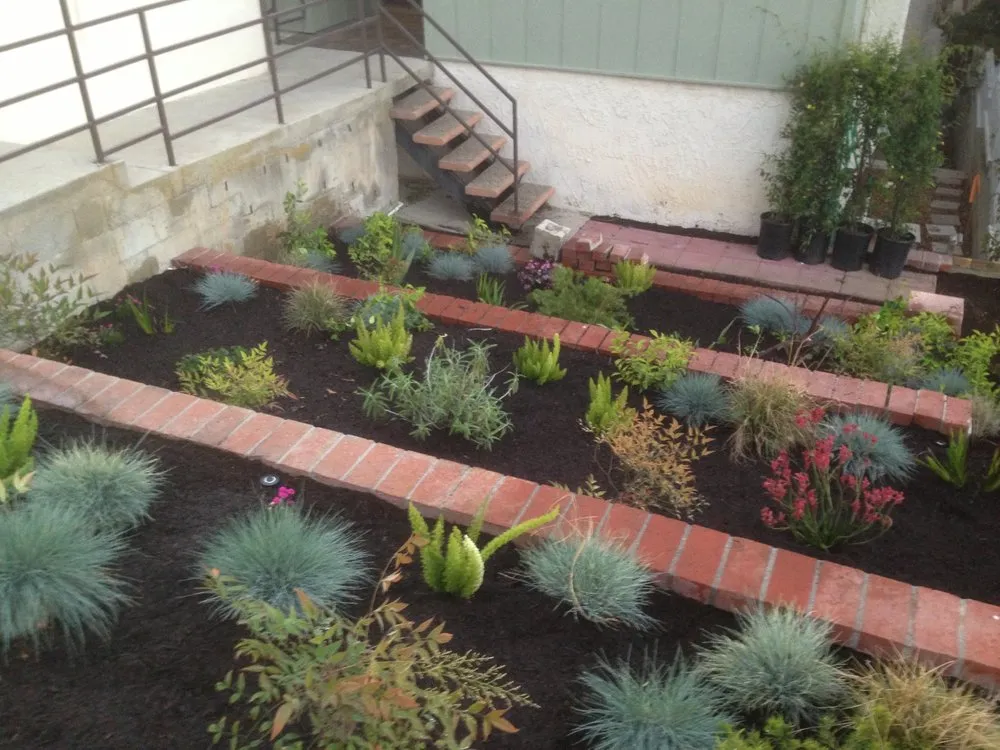 Local lawn care service in Torrance, CA by Josephs Lawn Service