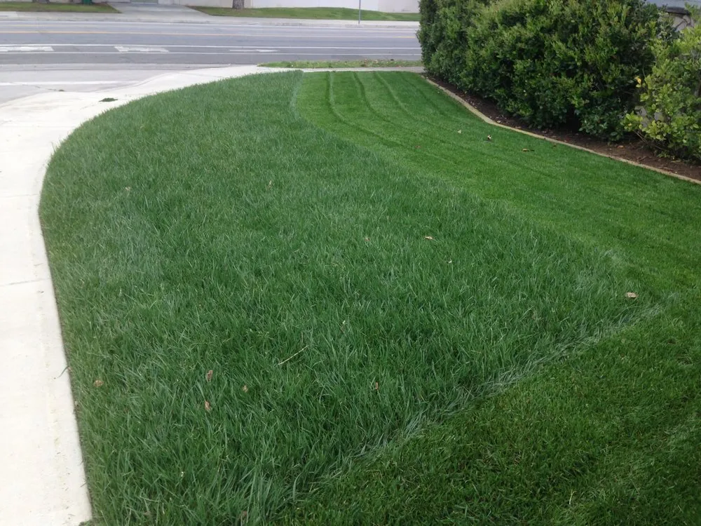 Local lawn care service experts serving Torrance, CA - Josephs Lawn Service