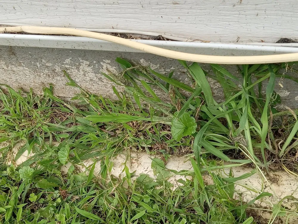 Custom garden landscaping in Ogdensburg, NY - Joseph's Property Management