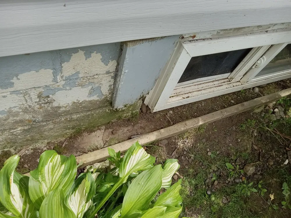 Reliable lawn care service in Ogdensburg, NY - Joseph's Property Management