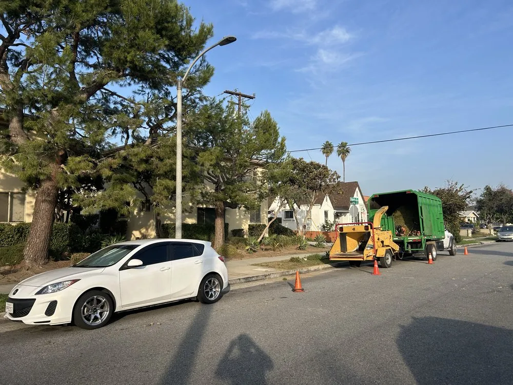 Trusted residential landscaping in North Hollywood, CA by Joseph’s Tree Service and Landscape