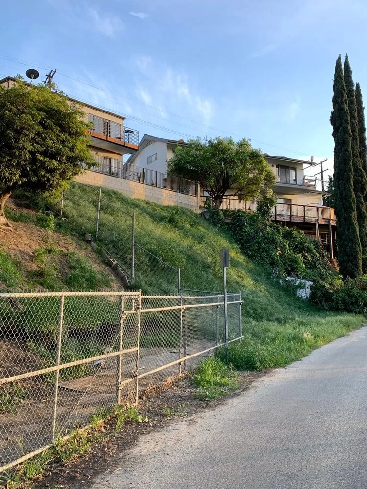 Affordable yard cleanup service in North Hollywood, CA by Joseph’s Tree Service and Landscape